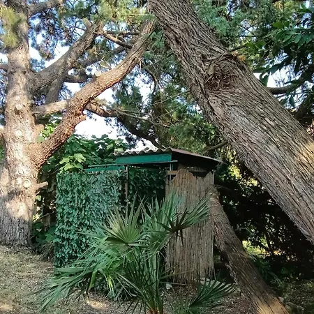 Casa La Quercia * Portoferraio