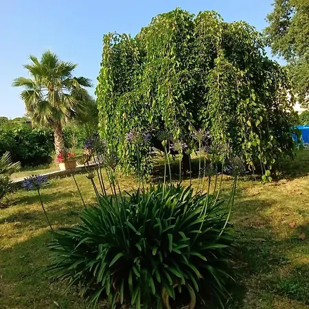 Casa La Quercia Portoferraio