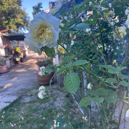 Σπίτι διακοπών Casa La Quercia *